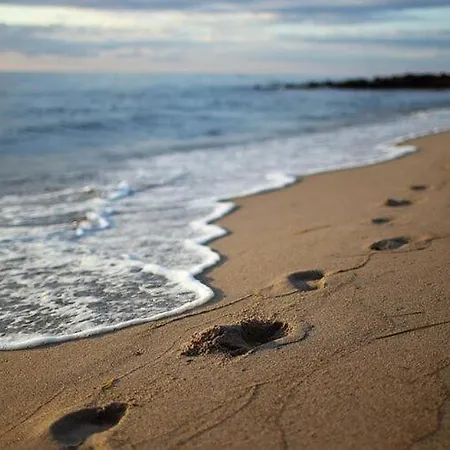 In Mit Naehe Zum Meeresstrand
