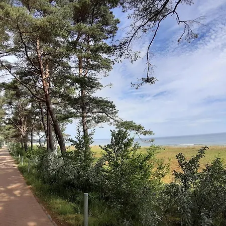 In Mit Naehe Zum Meeresstrand * Sellin (Rugen)