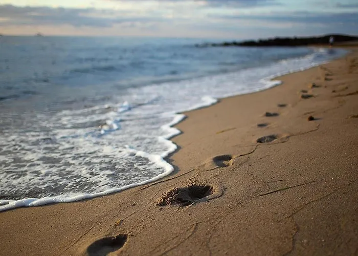 Apartment In Mit Naehe Zum Meeresstrand Sellin (Rugen)